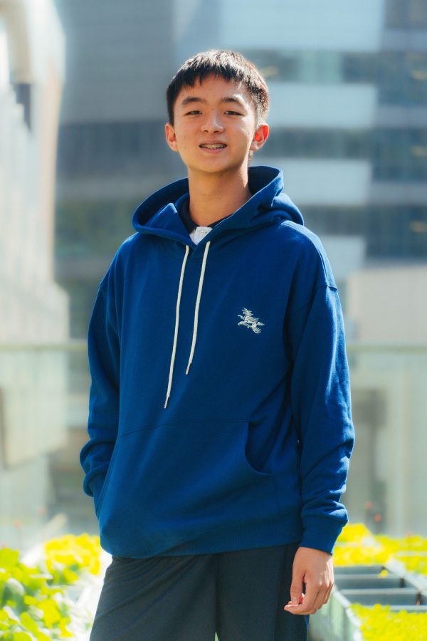 ISF Hoodie - Image 4