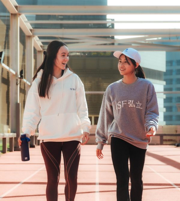 ISF Gray Sweatshirt - Image 3